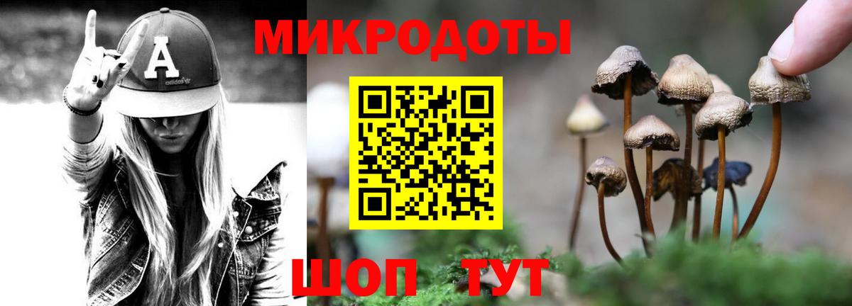 продажа наркотиков  Вход с VPN  Советск  Галлюциногенные грибы ЛСД 